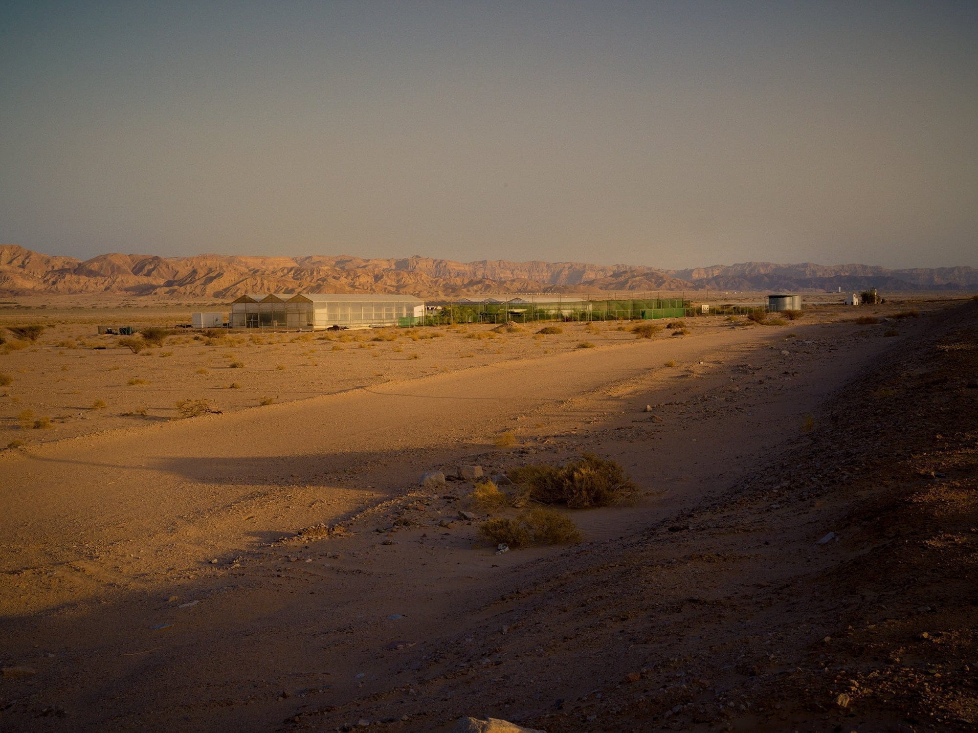 water desert food